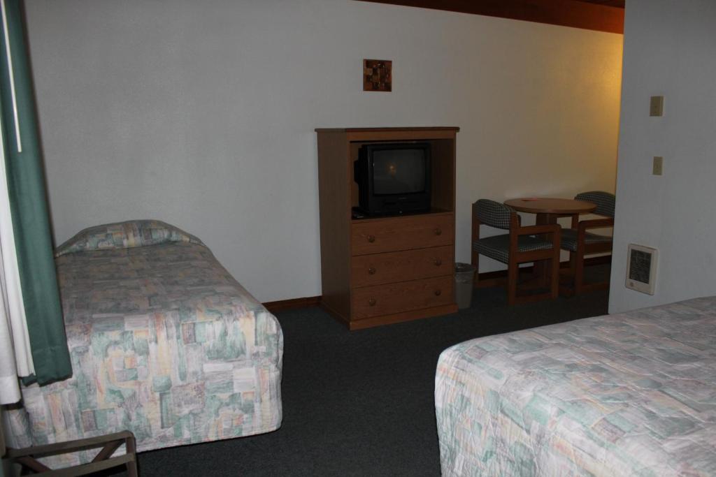 Azalea Lodge 골드비치 객실 사진